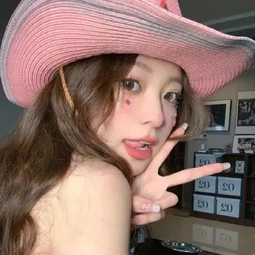 吉屋藏娇